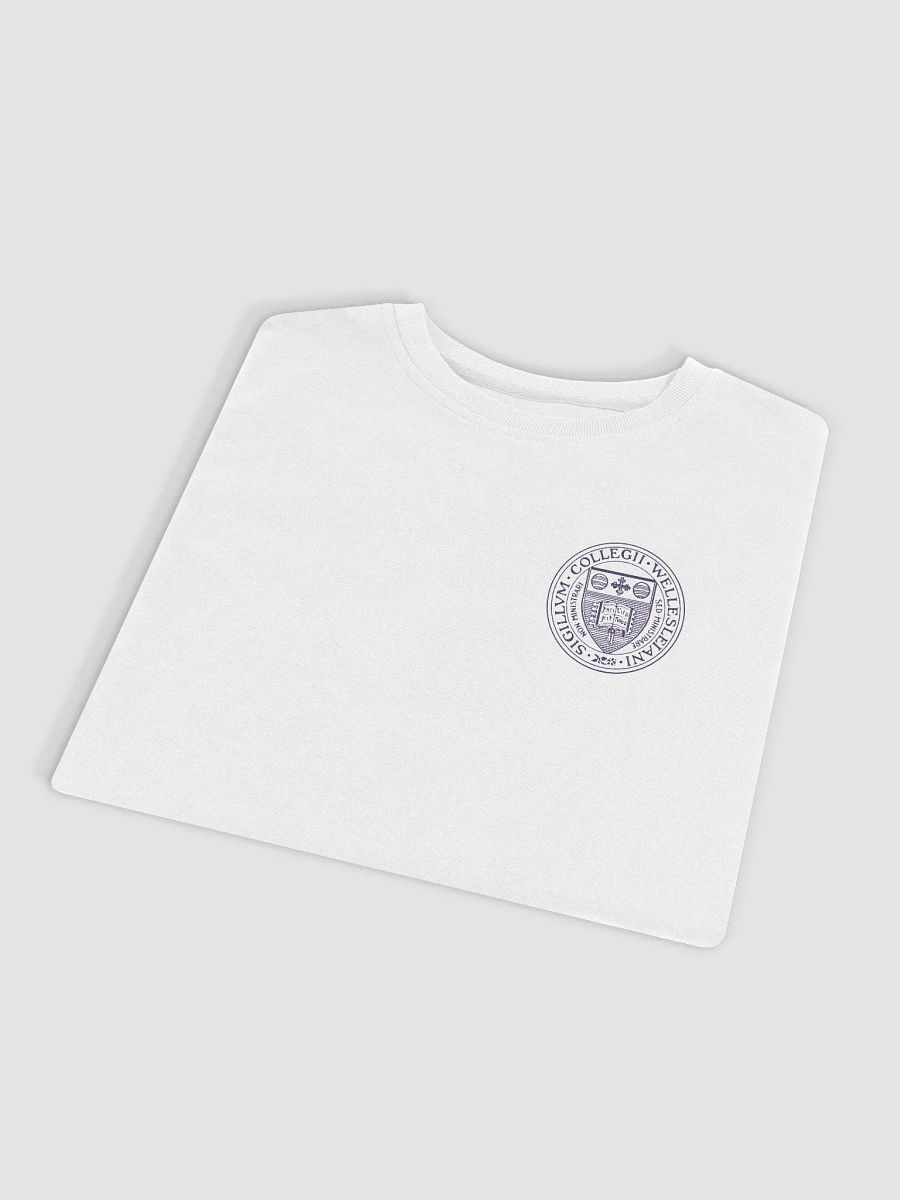 Embroidered Reunion Classic Sweatshirt with Small Wellesley College Seal product image (4)