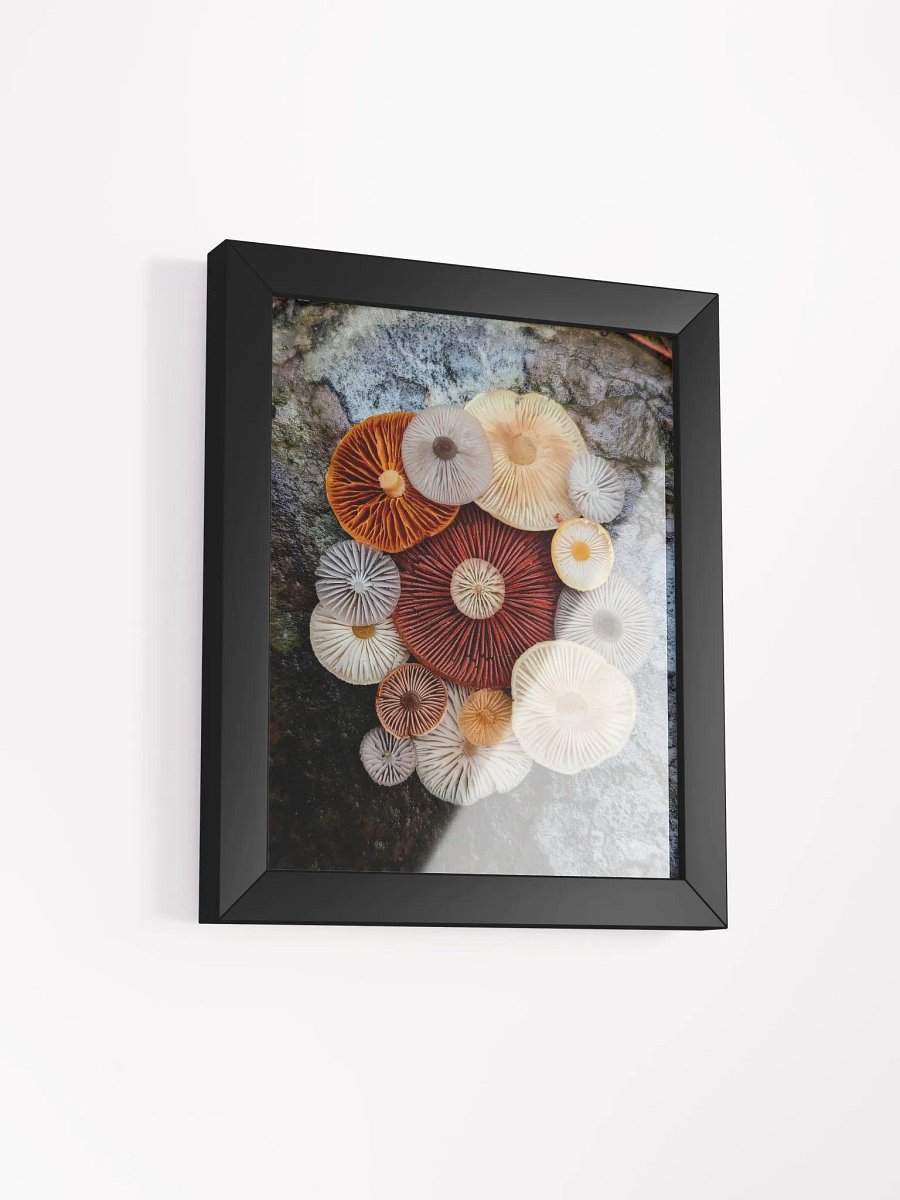 Fungal Color Palette (Frame) product image (2)