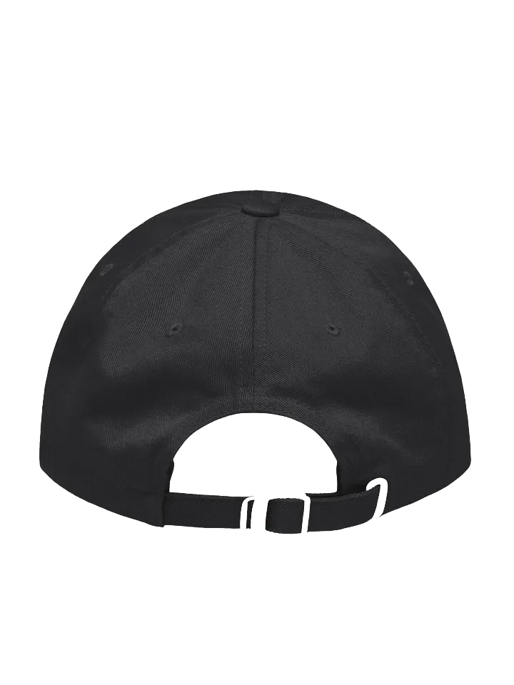 Insanity Developing Classic Dad Hat product image (5)