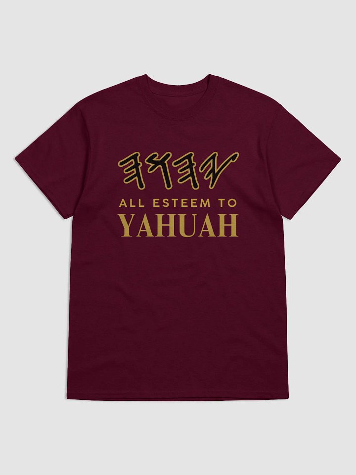 Yasharal Original Music: All Esteem To YAHUAH | T-Shirt | Maroon product image (1)