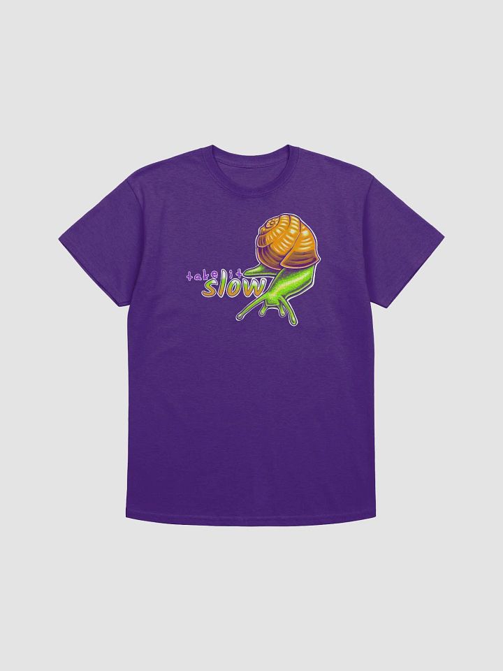 TAKE IT SLOW TEE product image (37)