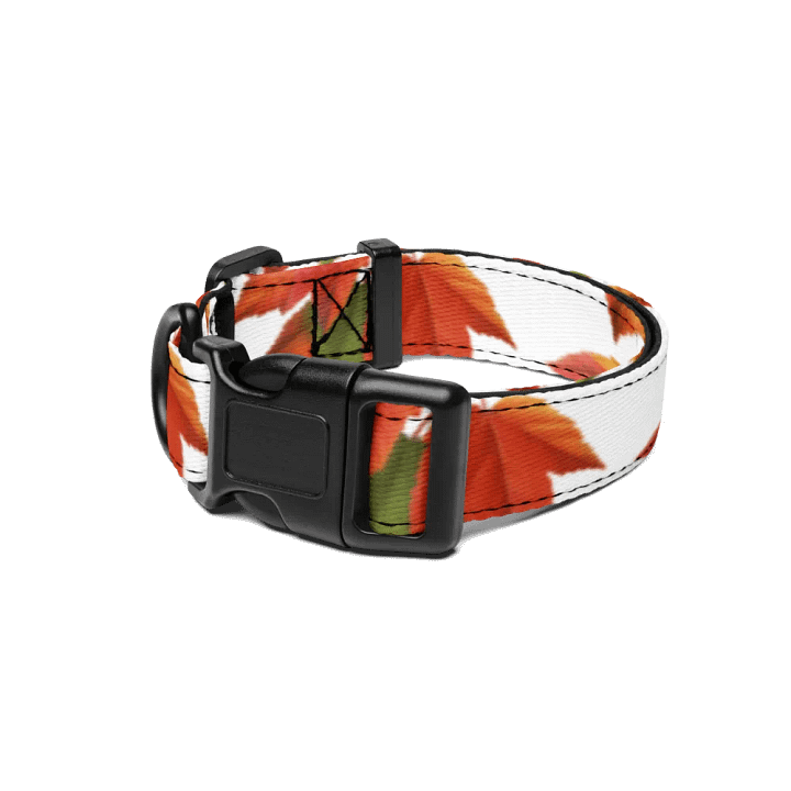 Fiesta Frenzy Pet Collar product image (1)