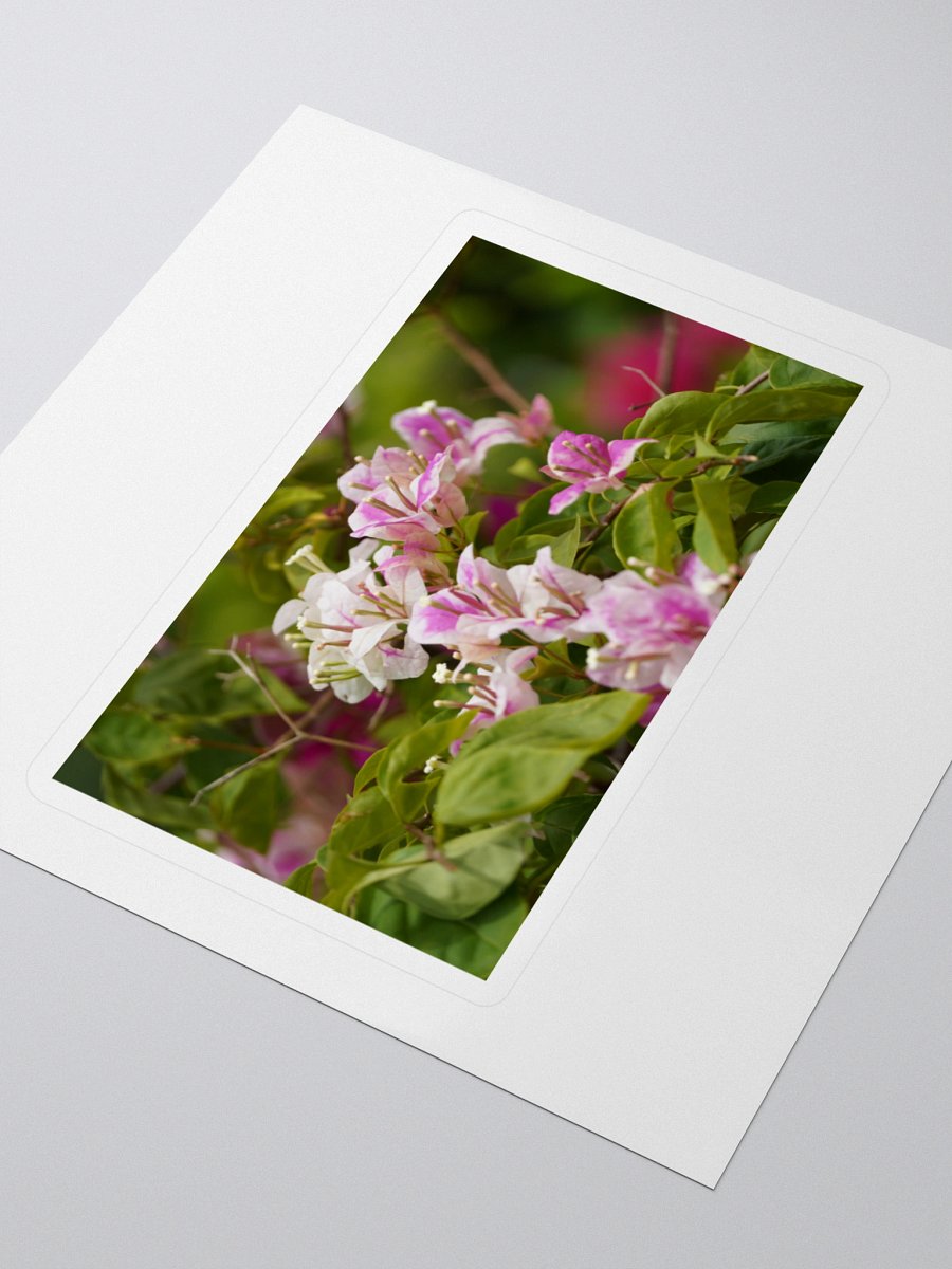 Blossom Borders Kiss Cut Stickers product image (3)