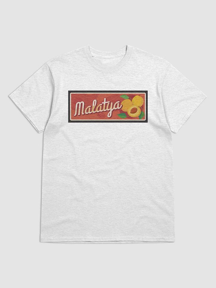 Vintage Malatya Apricot Design - Turkish City product image (10)