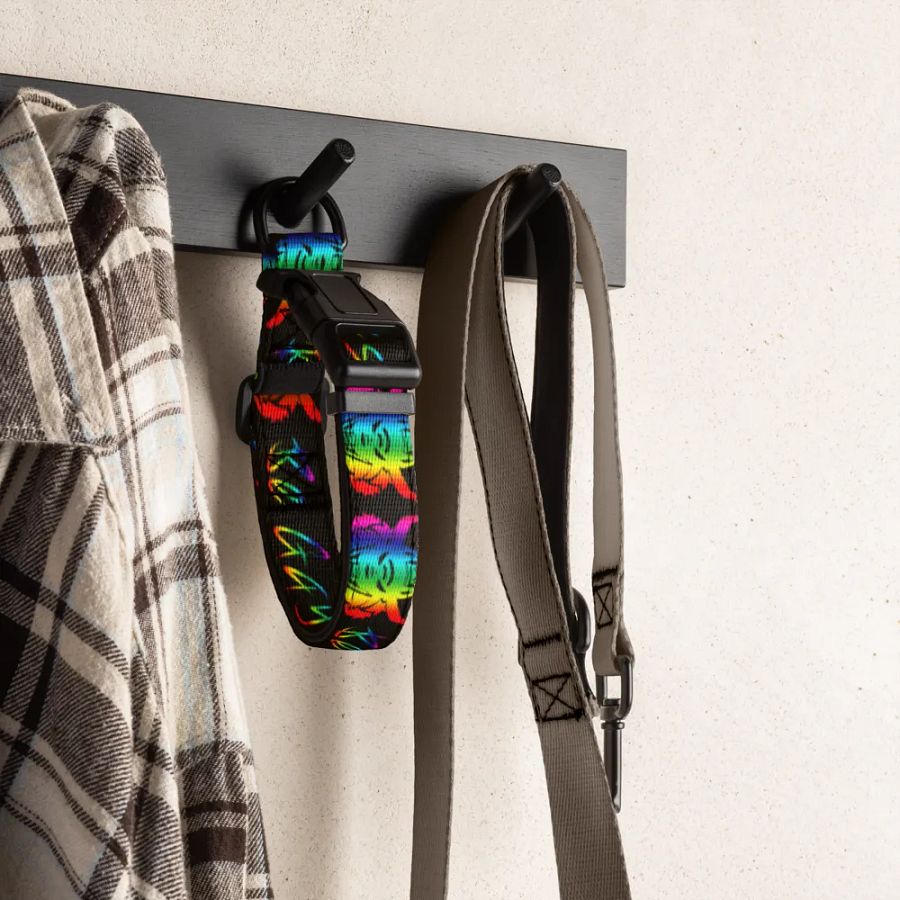 Be Gay Collar product image (4)