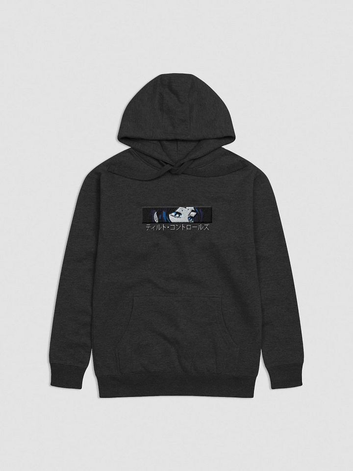 Tilt Controls Embroidered Hoodie product image (1)