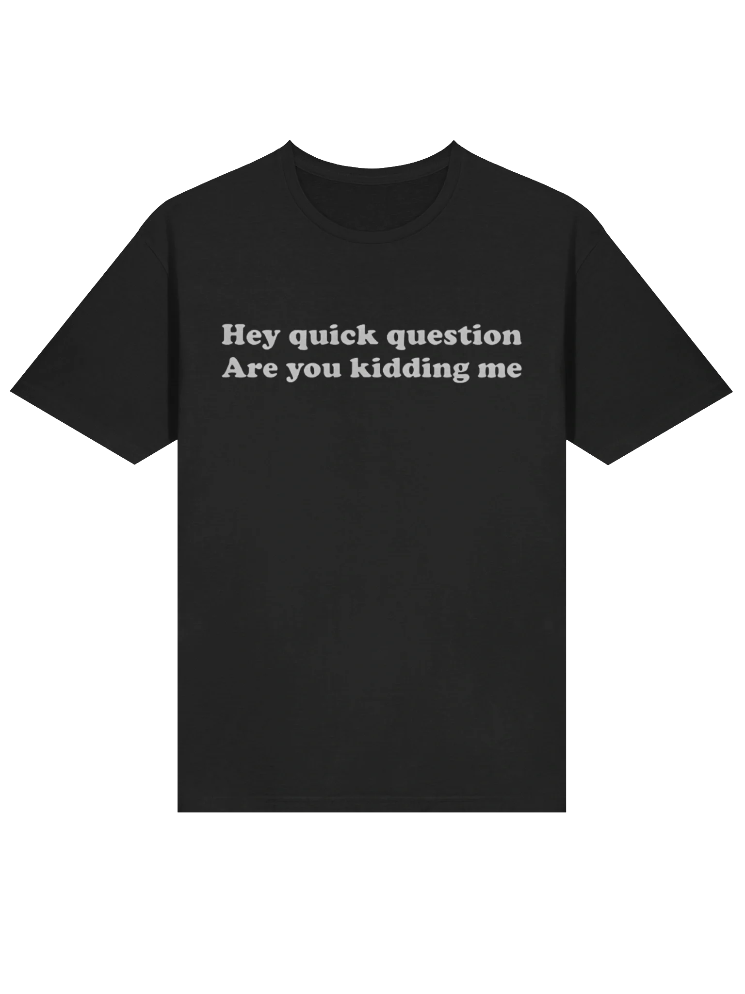 Hey Quick Question Are You Kidding Me T-Shirt product image (2)