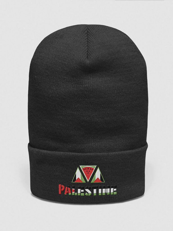 beanie product image (1)