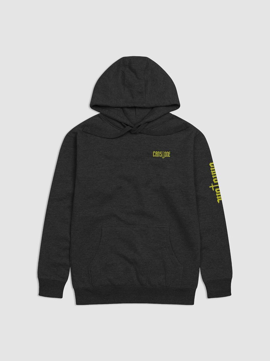 CANSONE _ CLASSIC LAMETTA STRETTA _ HOODIE product image (1)