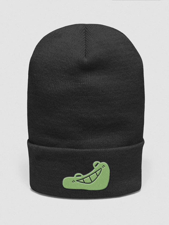 FROOG Beanie product image (2)
