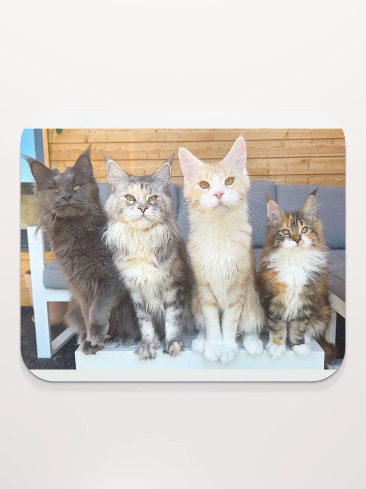 4 Generations - Mouse Pad product image (2)