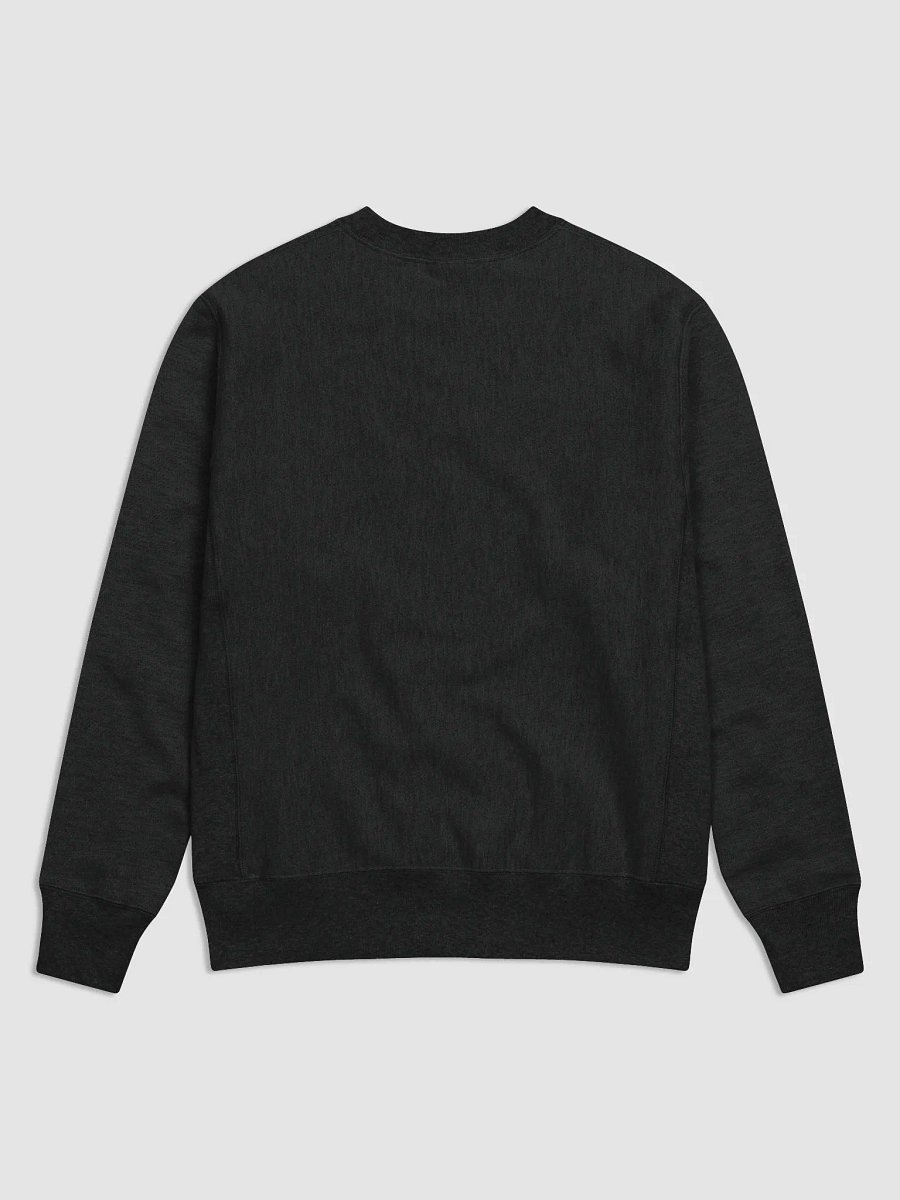 Lrn2aim Cotton Sweatshirt product image (2)