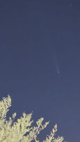 My attempt at capturing the comet from my phone in VERY light polluted Phoenix.