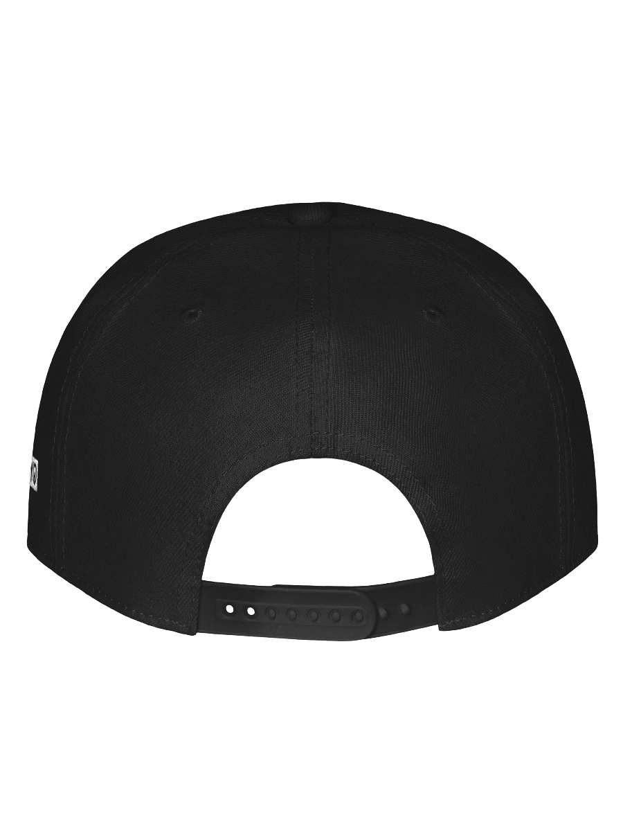 1OF1 Snapback Hat - Vintage w/ Symbol product image (8)