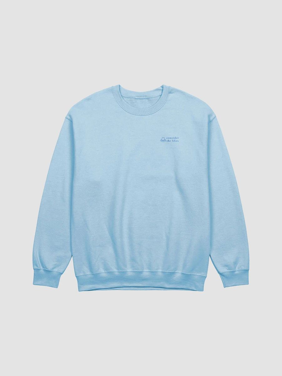 Find Some One Who Needs Lifting Up Blue Sweatshirt product image (4)
