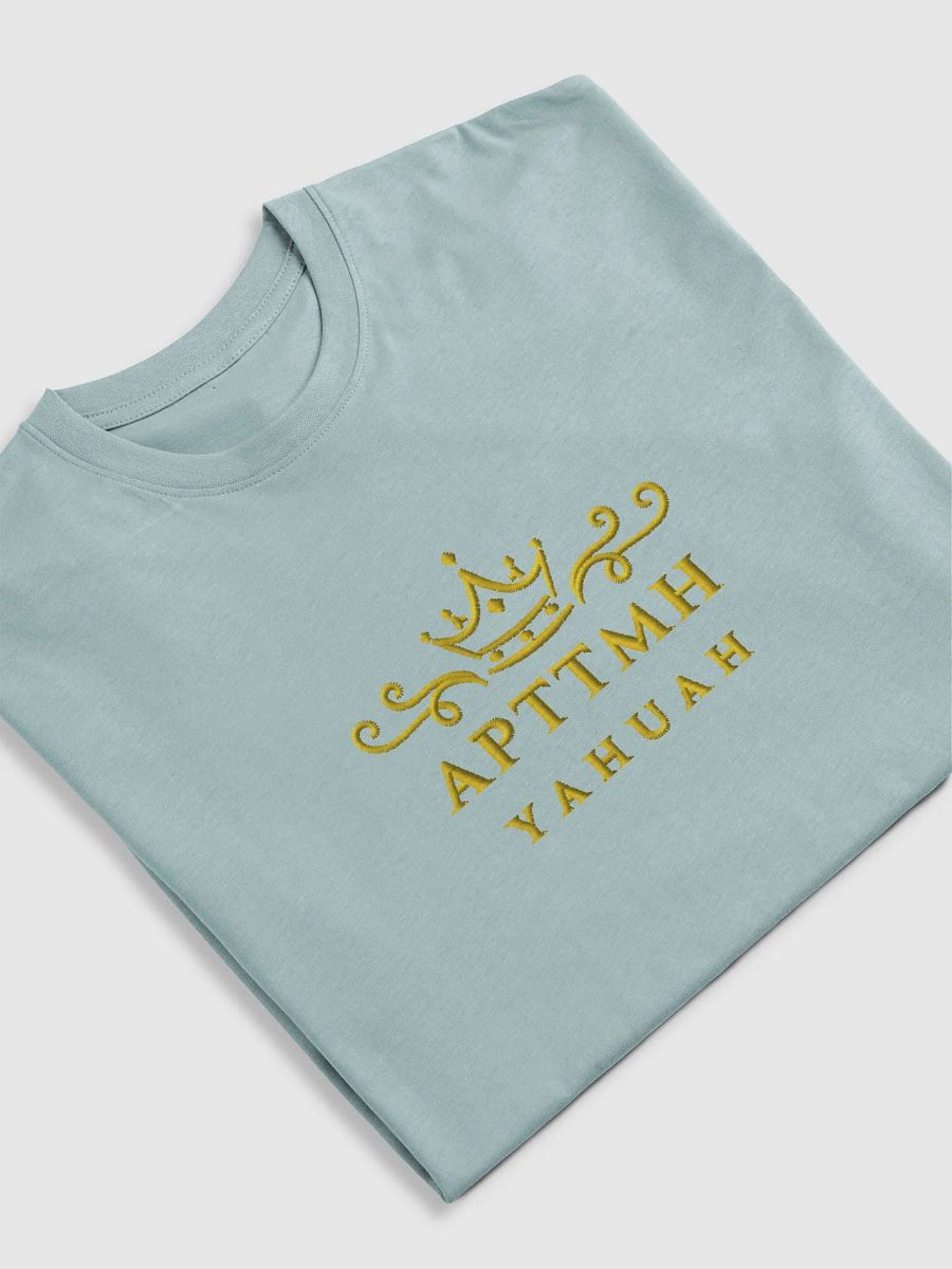 APTTMH Men's Tee product image (30)