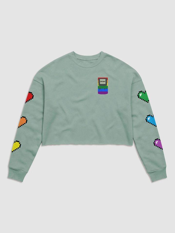 Gayboy Crop Sweater product image (3)