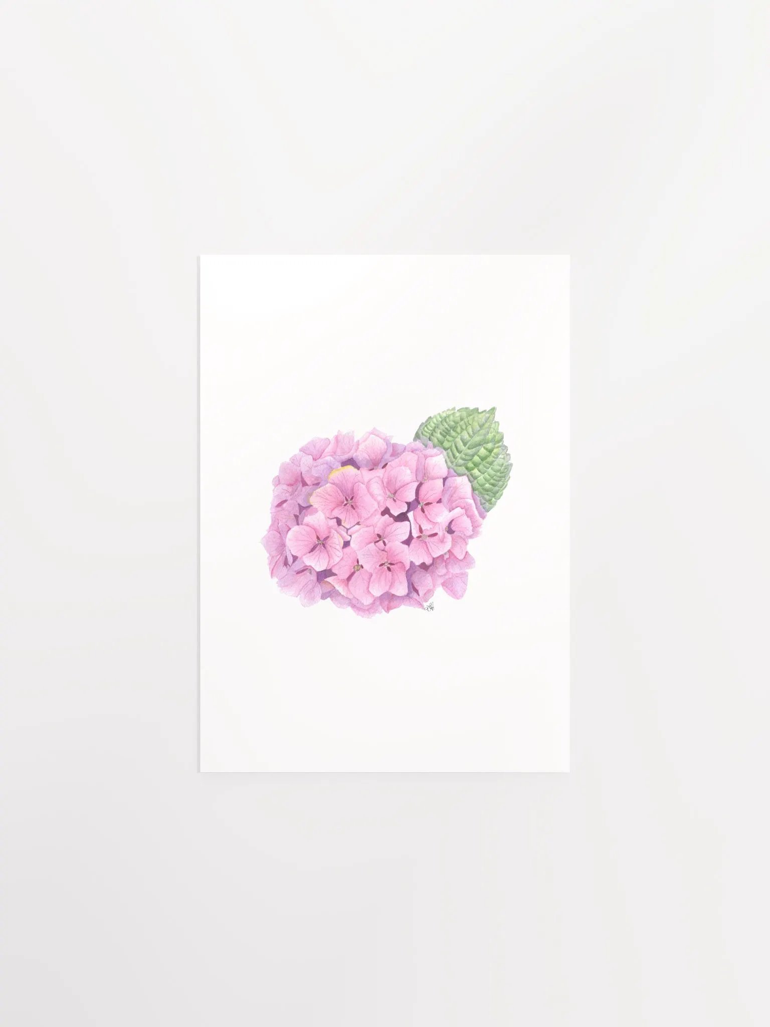 Purple Hydrangea Delight - print product image (1)