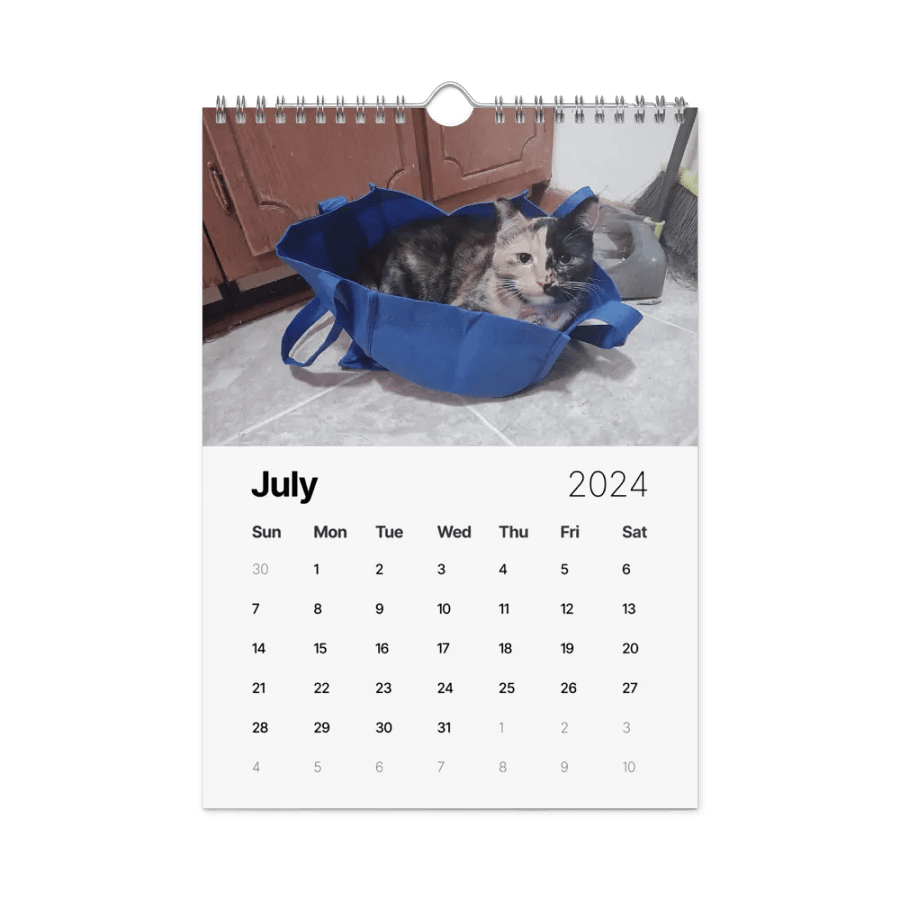 2024 Lyra Calendar product image (19)