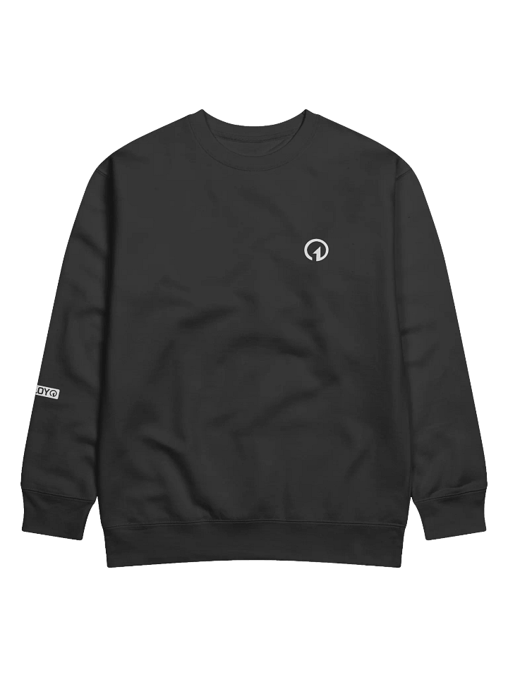 1OF1 Sweatshirt - Vintage w/ Symbol product image (1)
