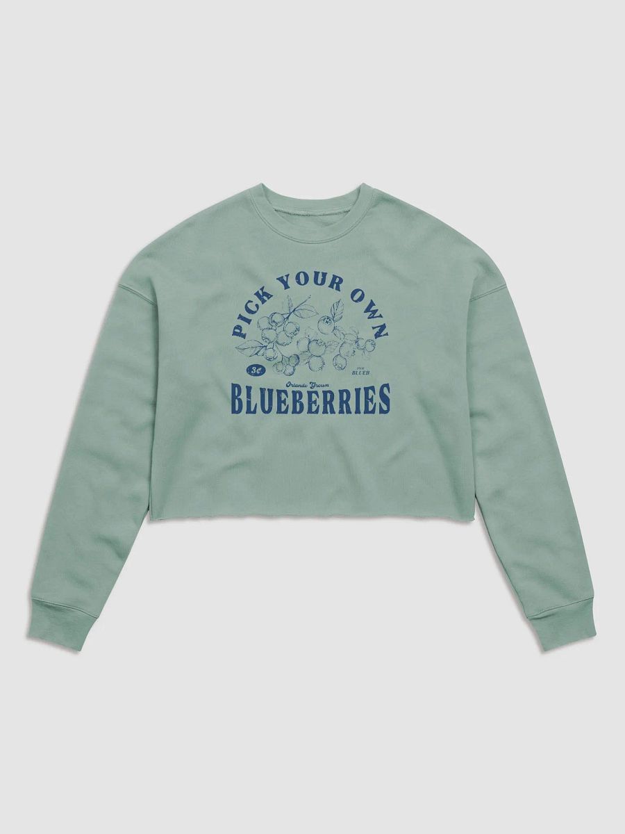 PYOB (Blue) Cropped Hoodie product image (1)