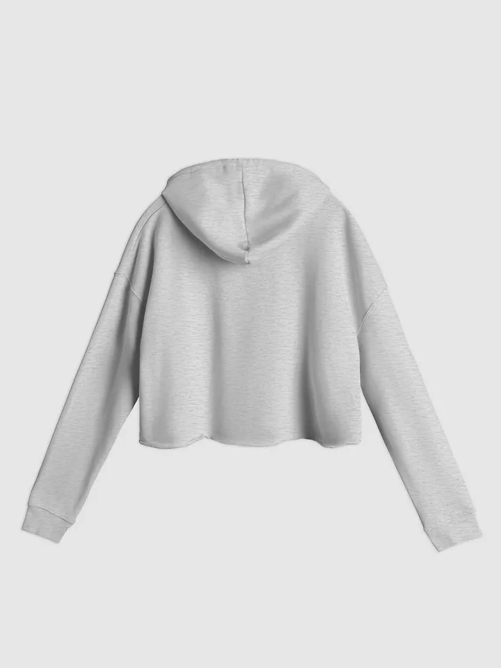 “It’s all a bit!!!” (sm. lined design, #96B697) lightweight cropped hoodie product image (6)