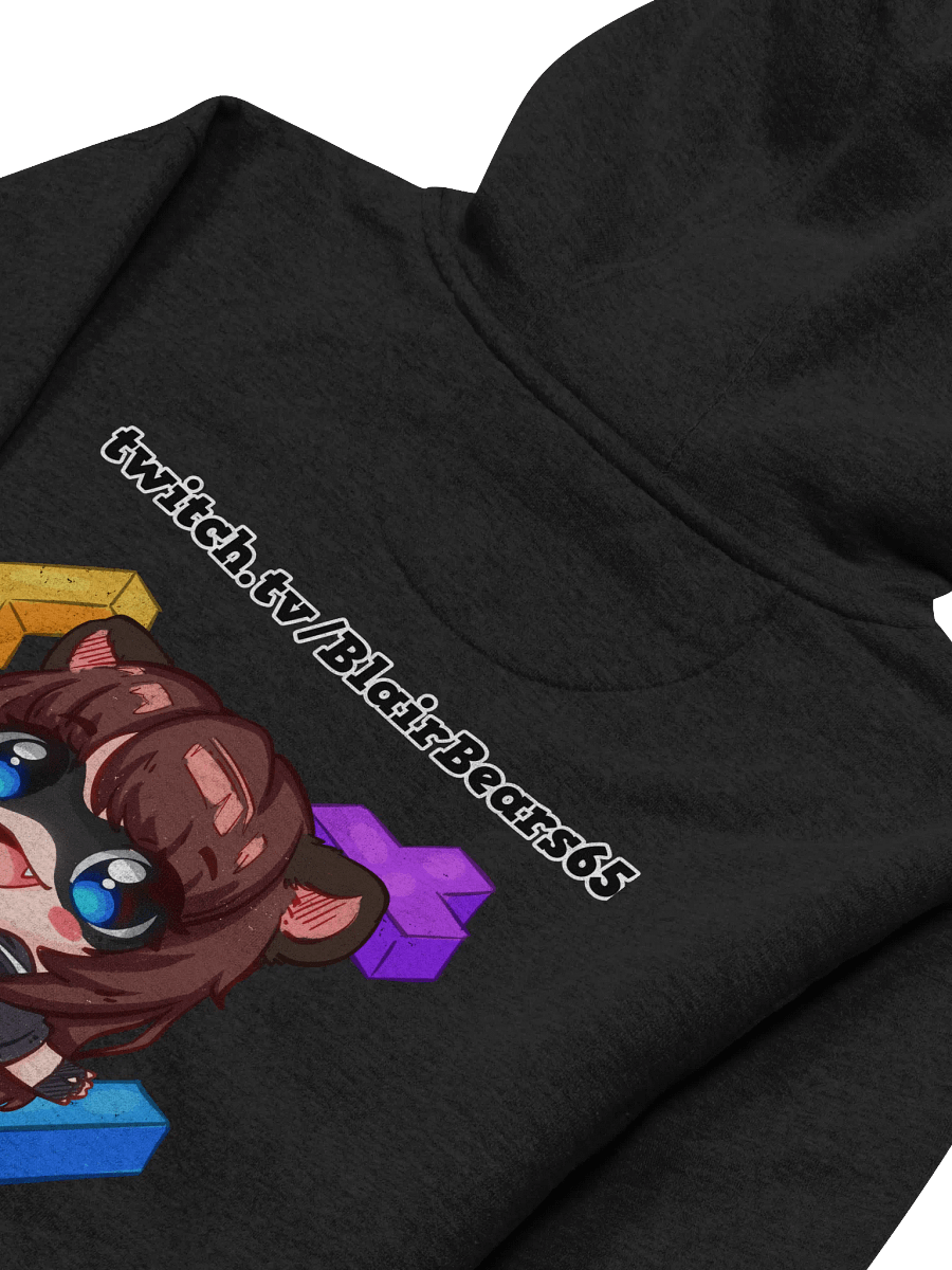 BlairBears Hoodie product image (4)