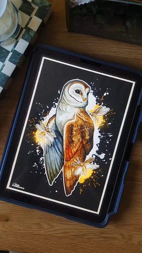 One of my fave pieces done this year 🖤🫶🦉 

#art #artist #dndart #characterart #ocart #artpricingsheet #commissionpricing #art...