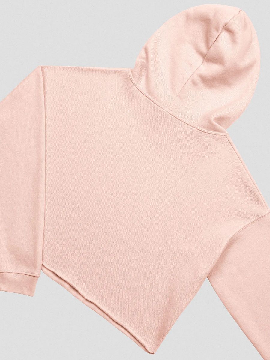 PANIC Cropped Hoodie product image (4)