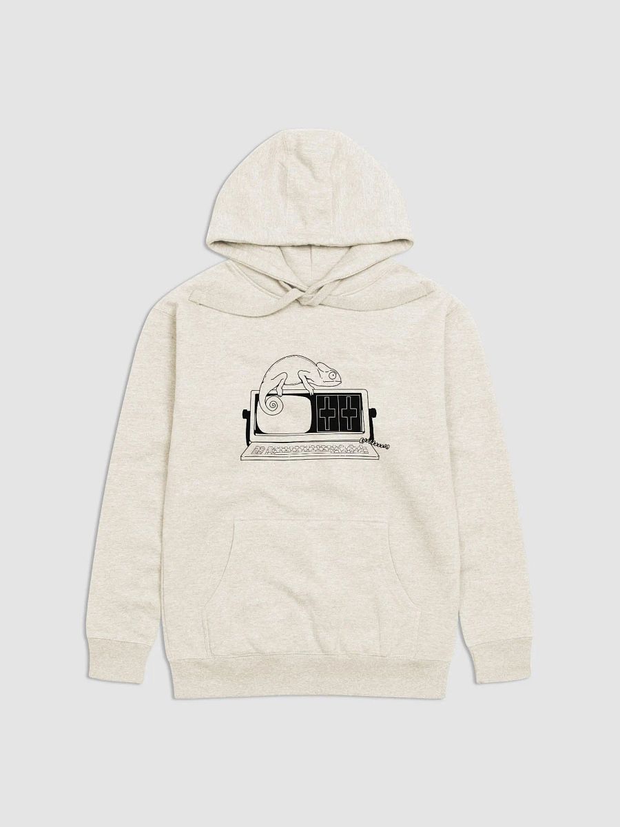 Chameleon On A Chameleon Hoodie product image (1)