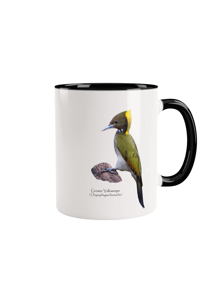 Greater Yellownape mug product image (3)