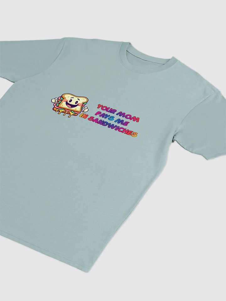 JAY-YOUR MOM PAYS ME IN SANDWICHES- product image (2)