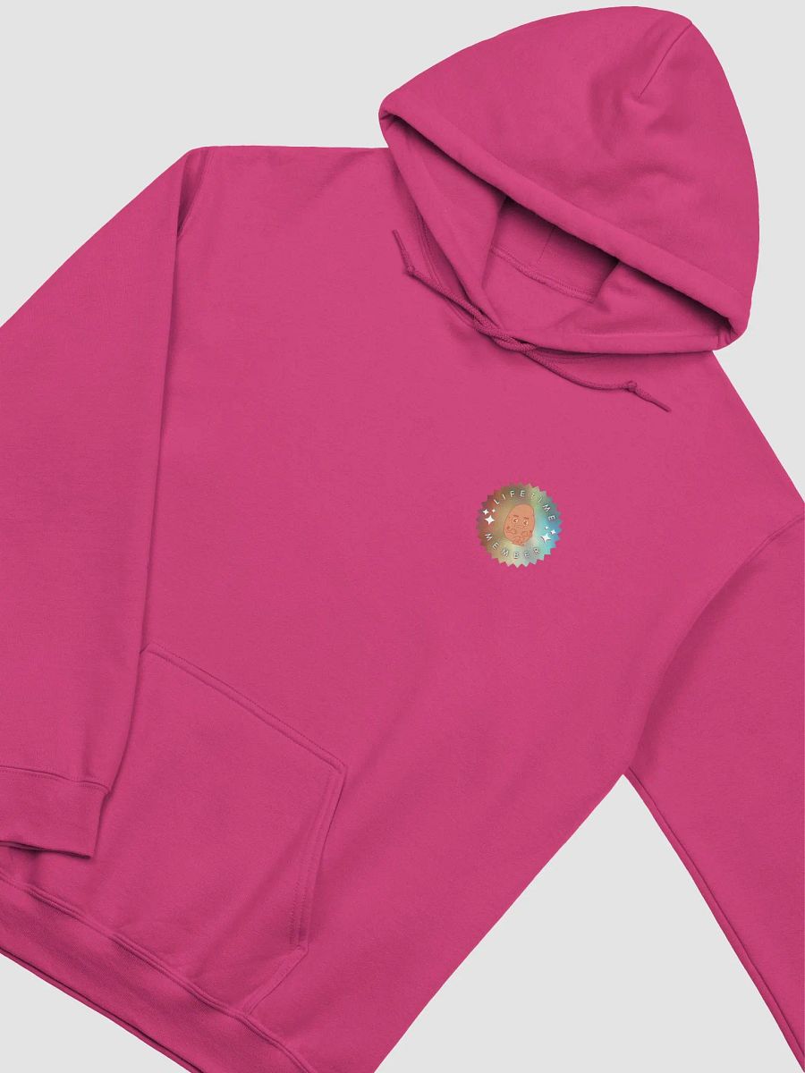 FREQUENT CRYERS CLUB premium hoodie product image (33)