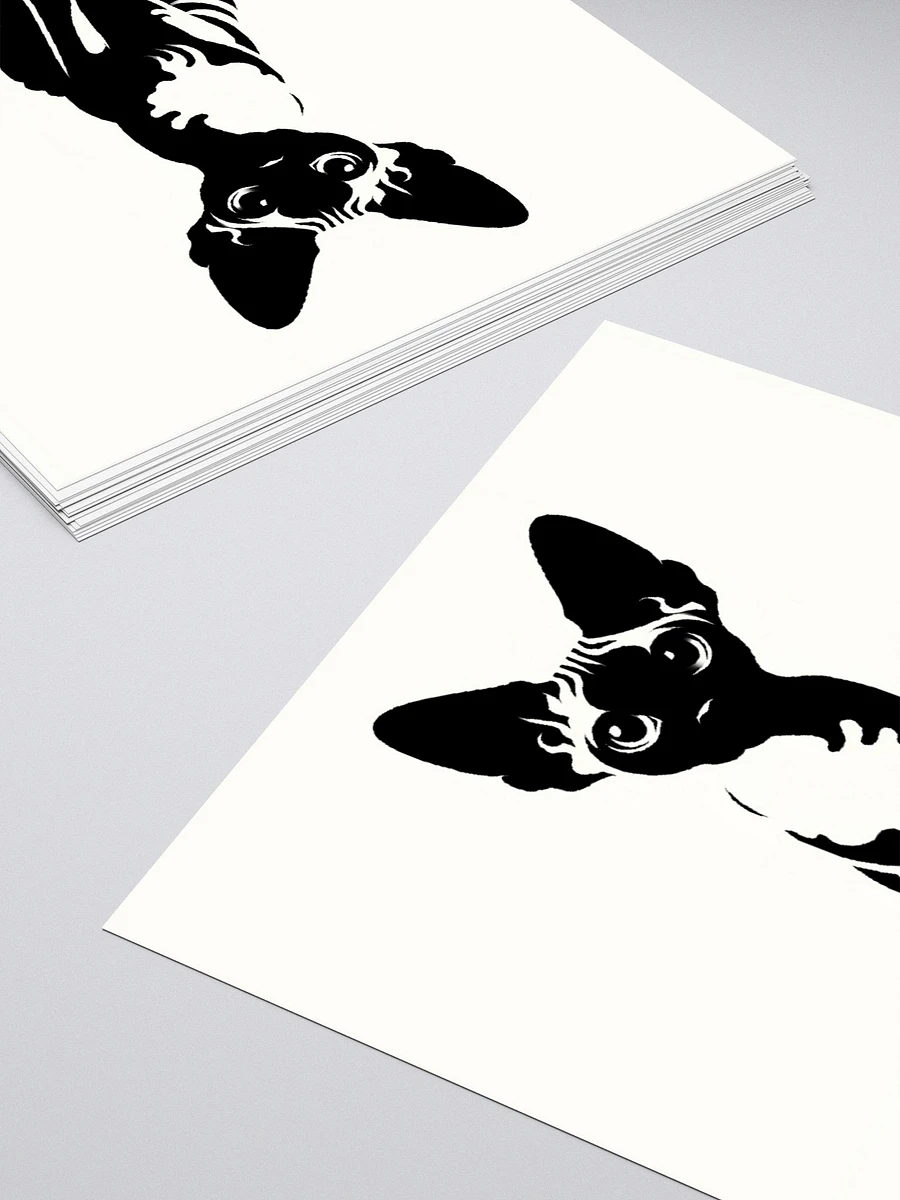 Kiss Cut Stickers: Devon Rex Monochrome product image (4)