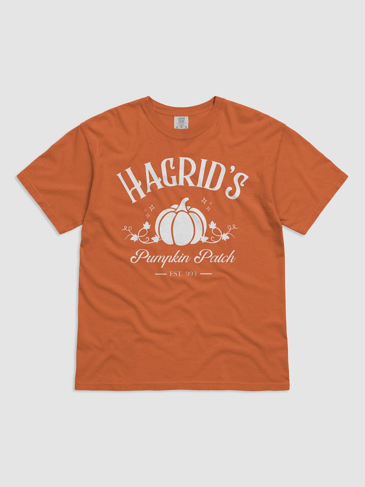 Magical Pumpkin Patch Vintage Minimalist Style Shirt product image (20)