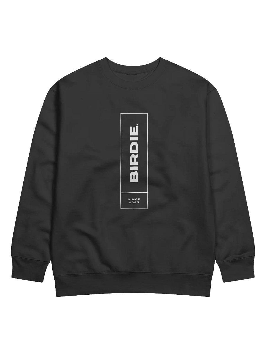 Premium Sweatshirt product image (1)
