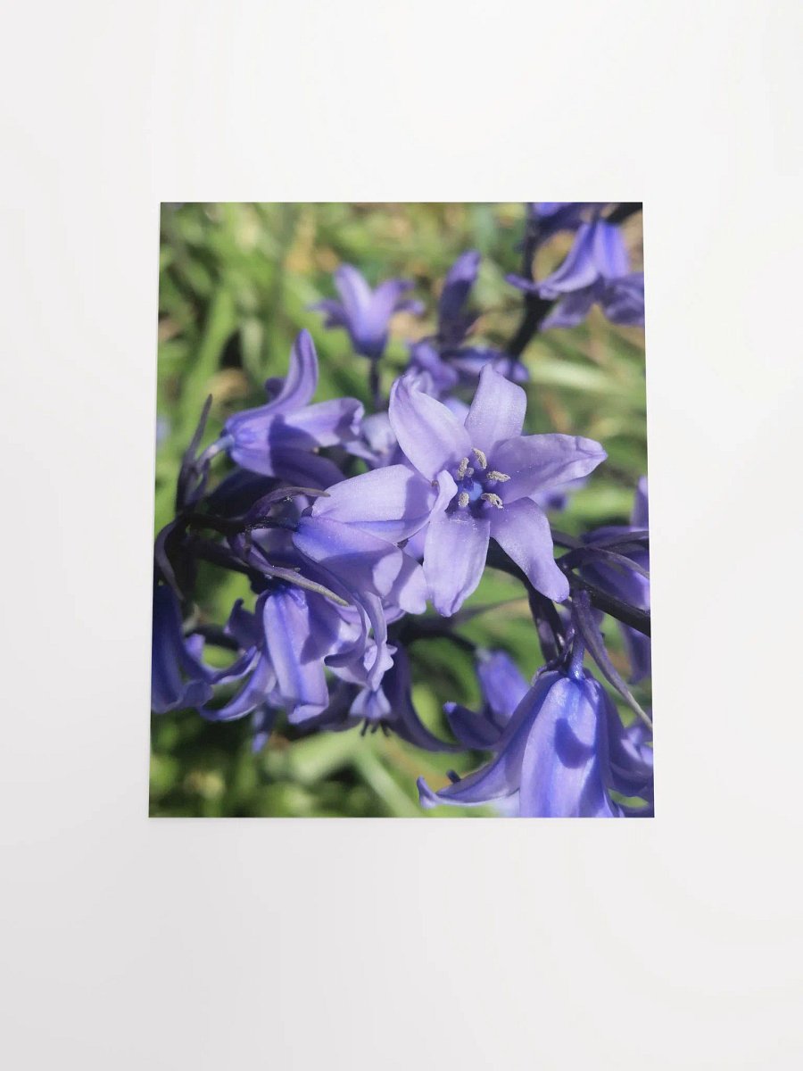 Bluebell Print Poster, Floral Art Poster, 11x14