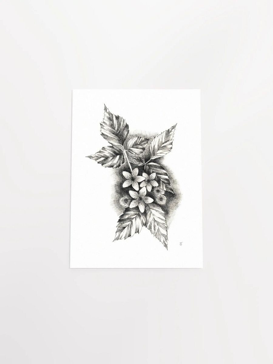 Botanical Bliss Matte Poster - Jasmine product image (4)