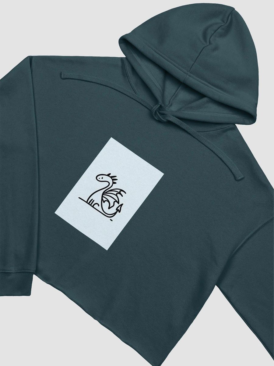 Dragon Doodles Cropped Hoodie product image (23)