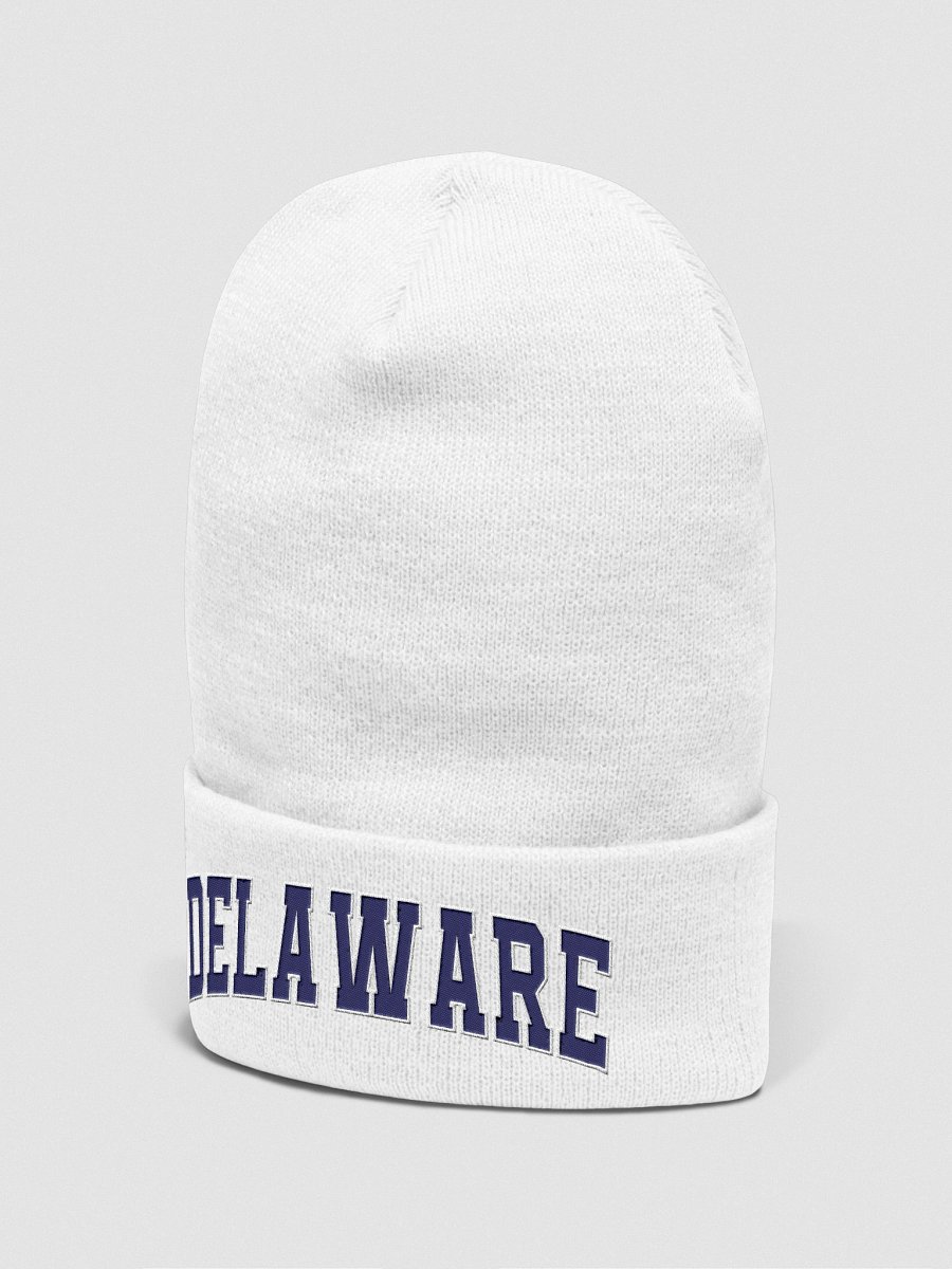 Delaware Vintage Varsity Cuffed Beanie product image (3)