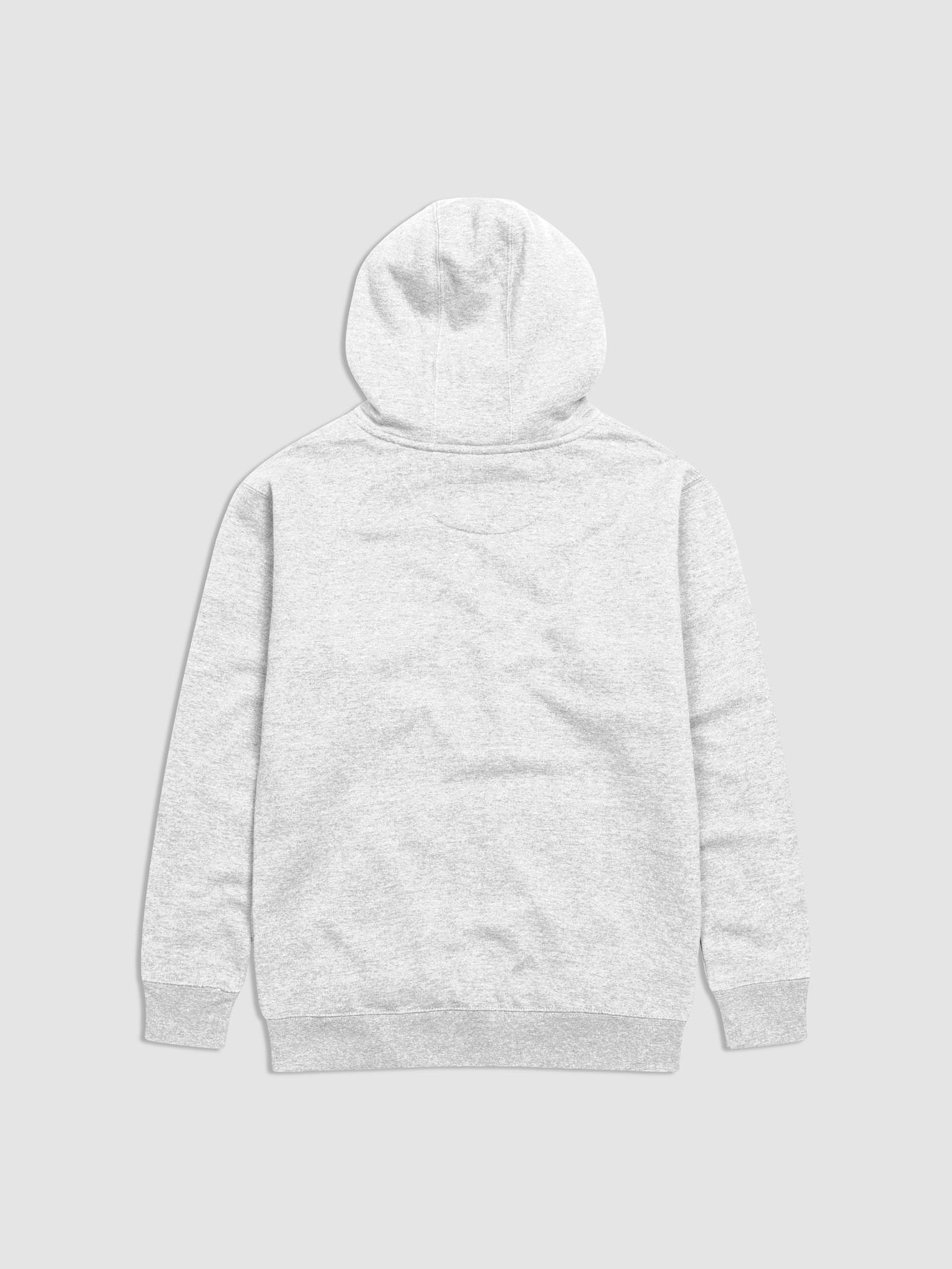 Esprit de Corps Everyday Hoodie product image (3)