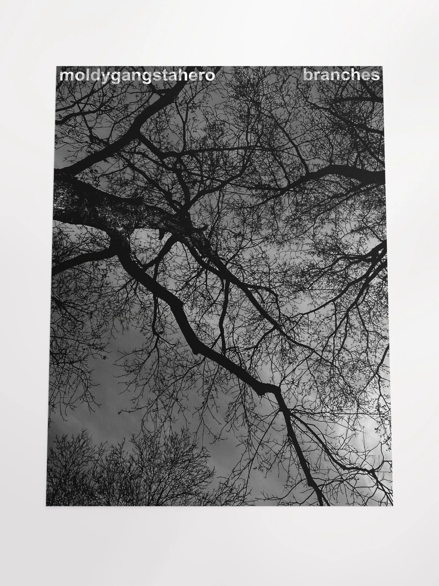 Branches Poster product image (4)