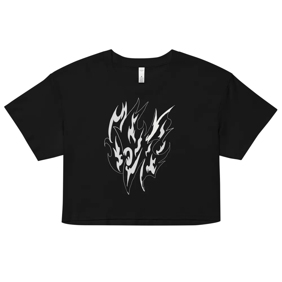 Wings of Fire crop top product image (6)