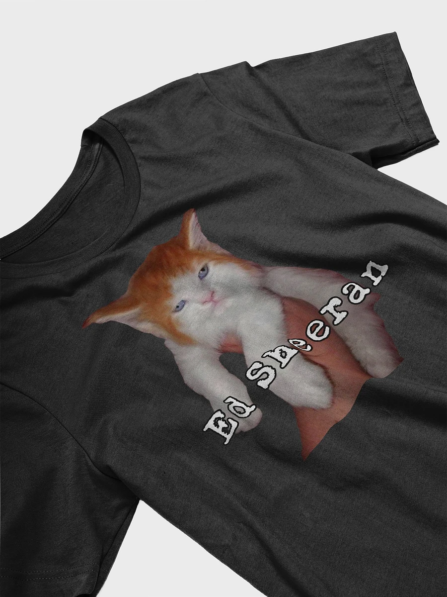Ed Cat product image (7)