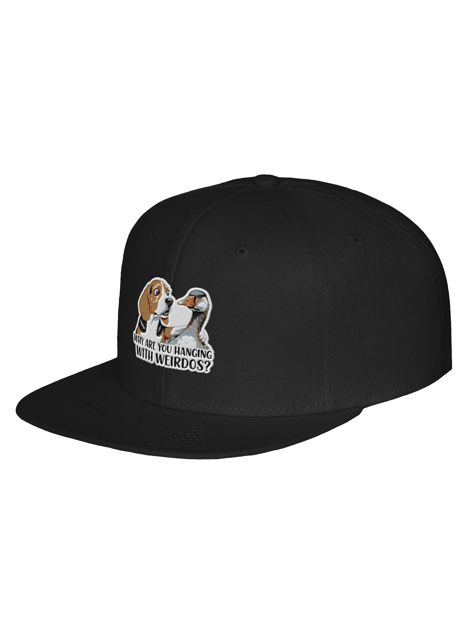 Dex and Goose Snapback Cap product image (24)