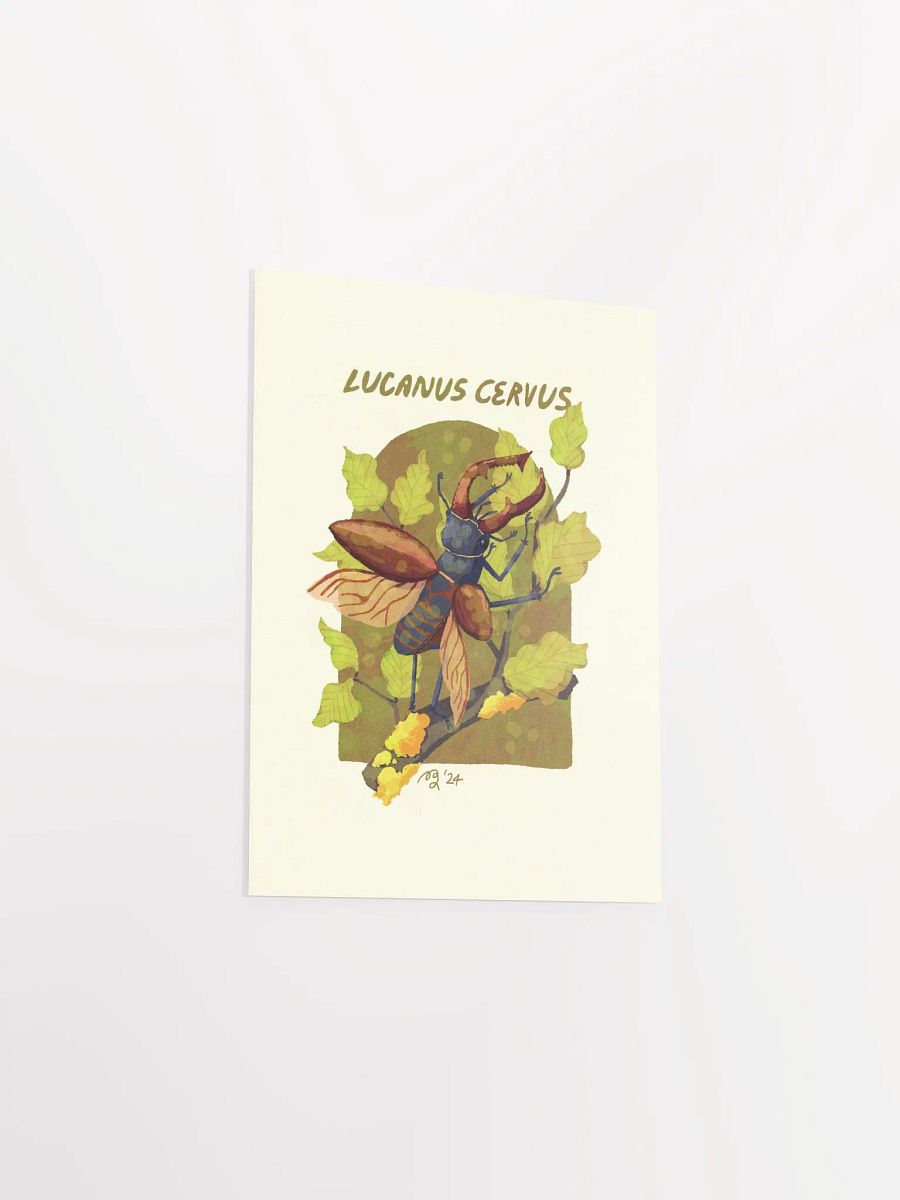 Stag Beetle Print product image (6)