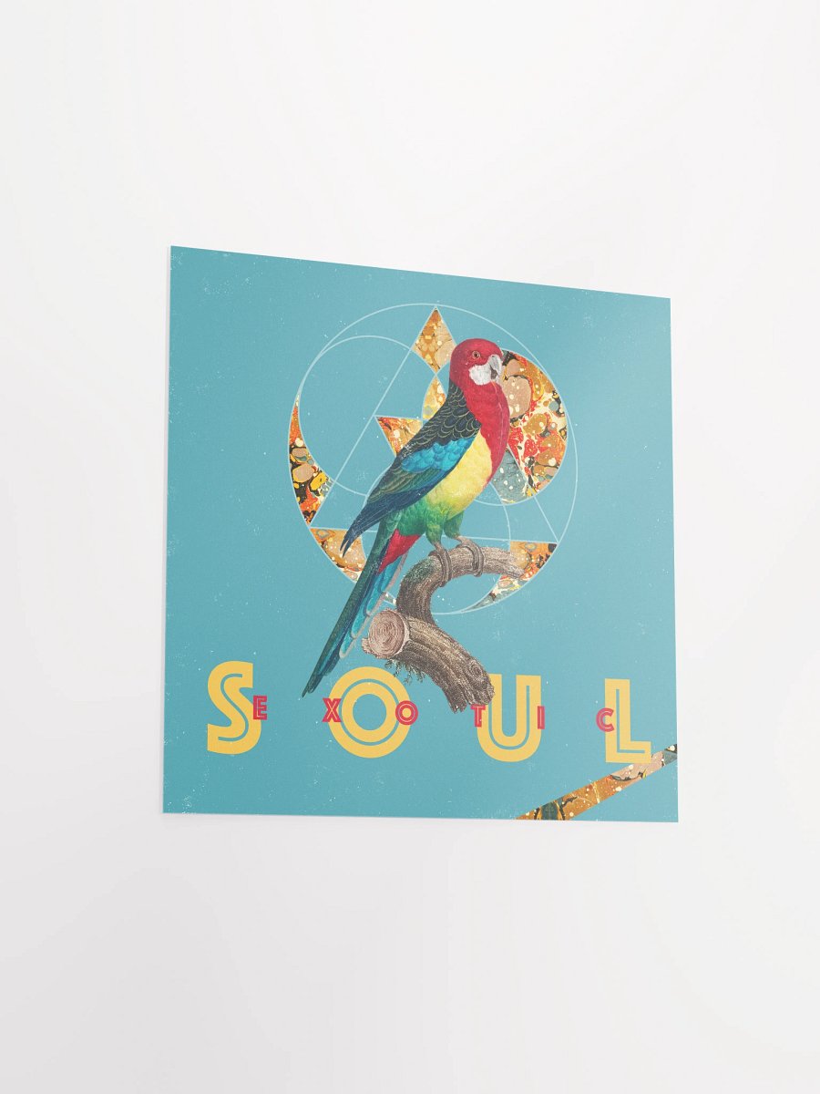 Vibrant Parrot Perch Poster product image (11)