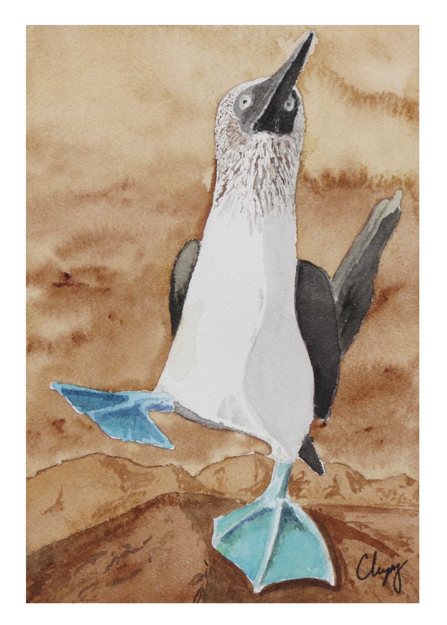 Blue Footed Booby - Original Watercolor Painting product image (2)