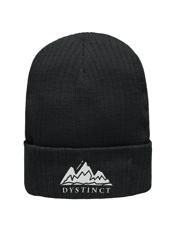 Dystinct winter beanie product image (1)
