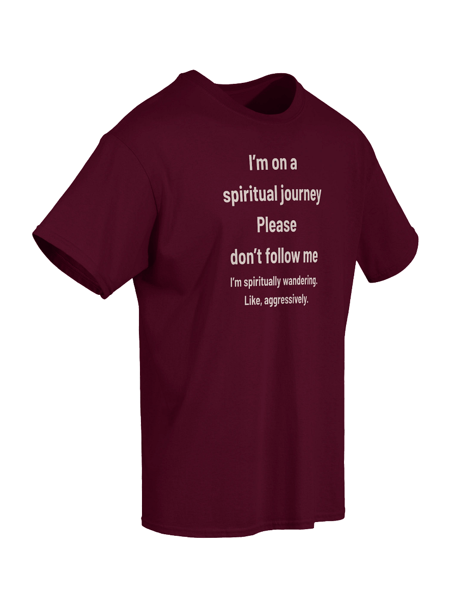 I’m on a Spiritual Journey… Please Don’t Follow Me | Funny Christian Wanderer T-Shirt product image (44)